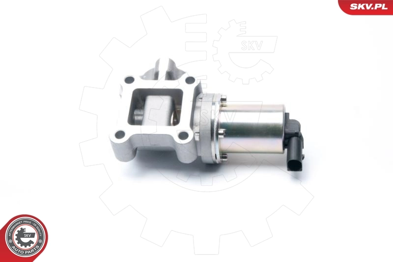 EGR Valve